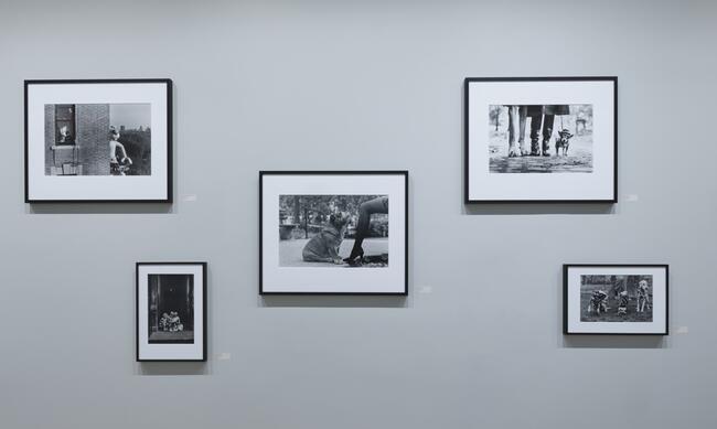 Leica Gallery Pictures