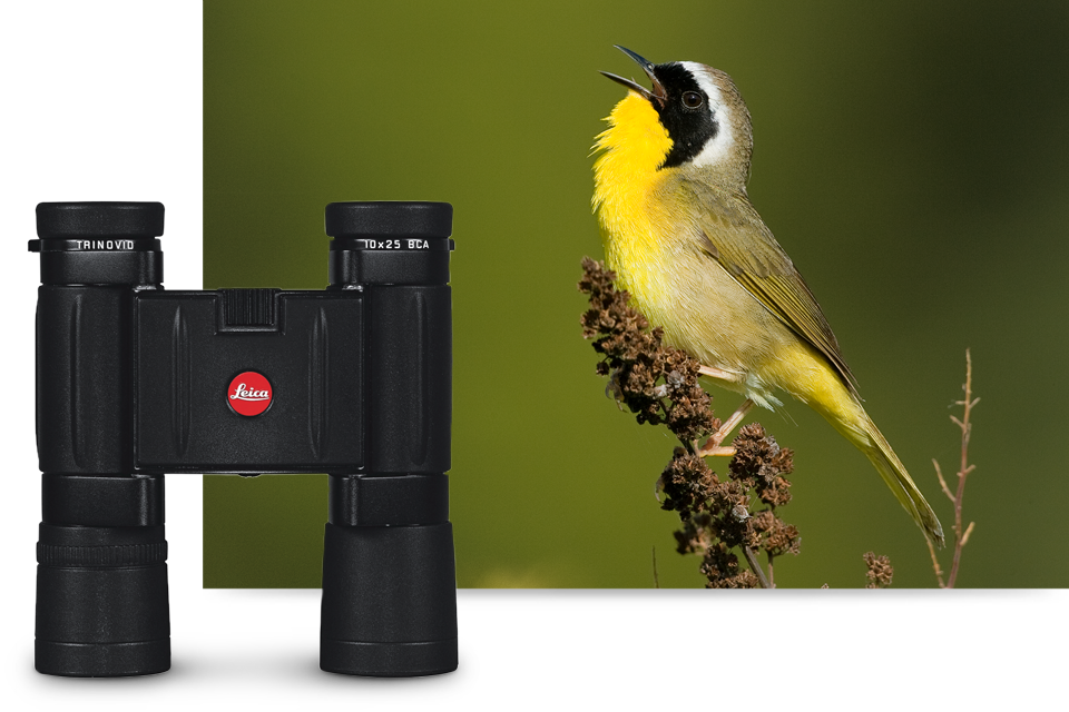 COMPACT-FIELD-OPTICS-2-VIVID-VIEWS