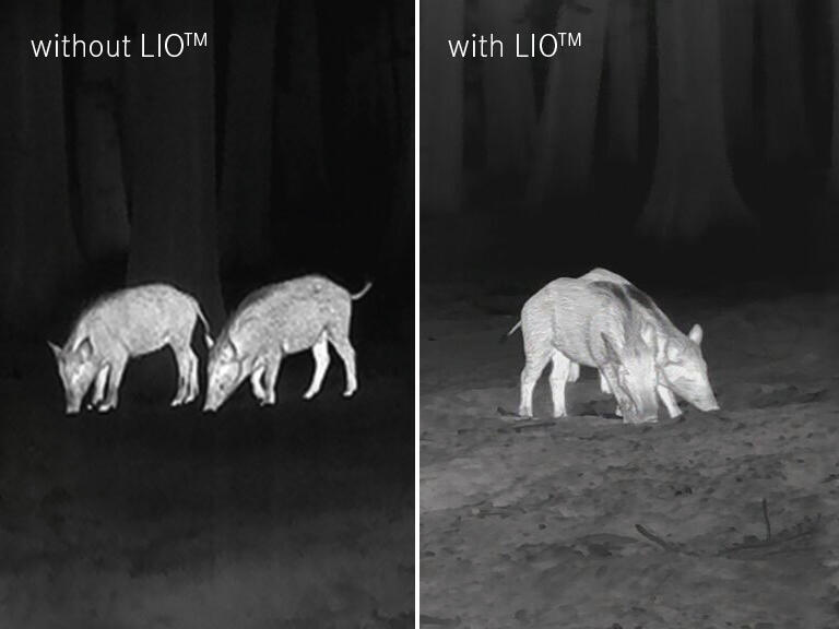 Leica Calonox Bildqualitaet - White Hot
