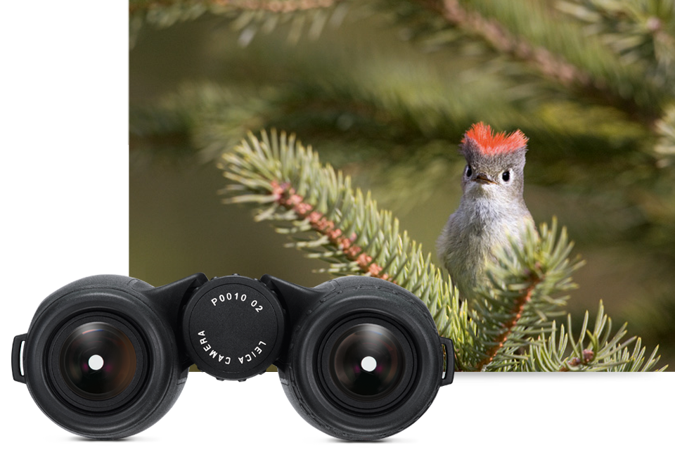 BINOCULAR-TRINOVID-1-A-NEW-GENERATION