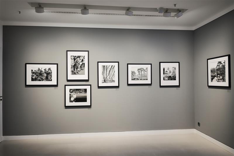 Exhibition at Leica Gallery Düsseldorf