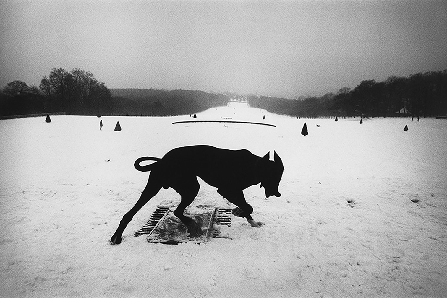 Josef Koudelka | Leica Camera MY