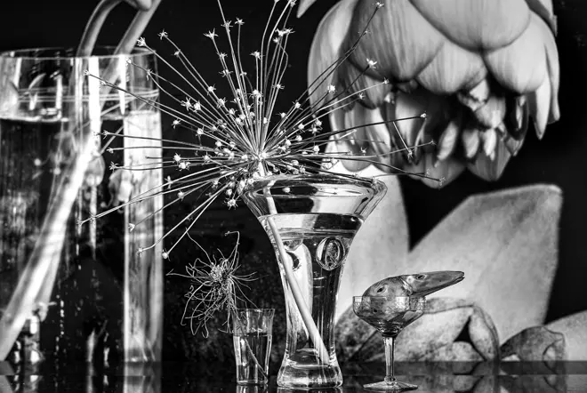 Still life, Leica gallery Stuttgart