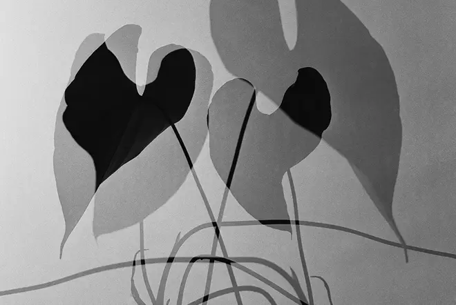 German Lorca, Leica Gallery Frankfurt