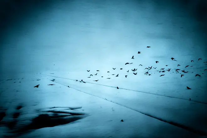 Into the silence by Yasuhiro Ogawa