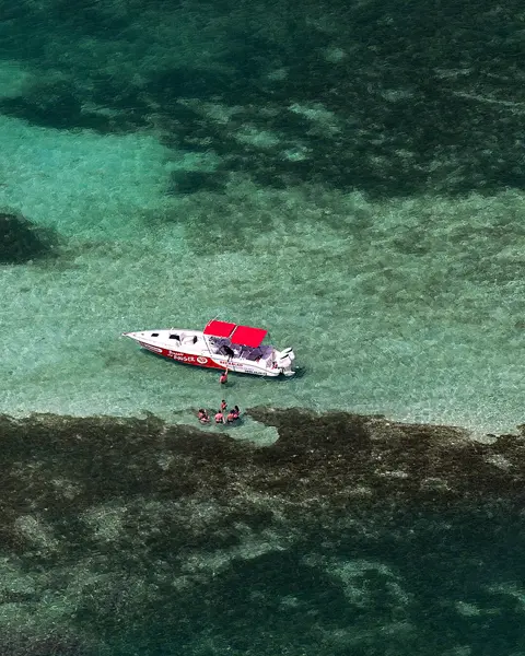 View from above of two boats and people in the water.