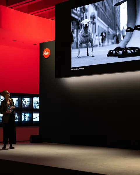 Leica Awards