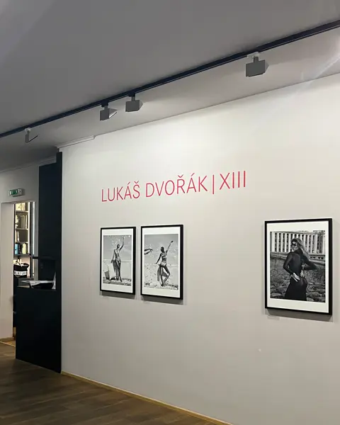Gallery of black and white photographs by Lukáš Dvořák, showing women in various places. A wooden staircase leads to another room with photographs.