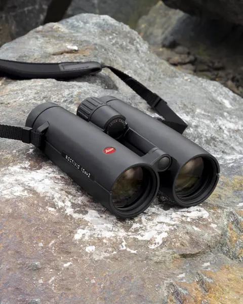 The Leica Noctivid lies on rocky ground
