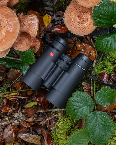 The Leica Ultravid 8x42 HD lies on the forest floor, surrounded by falling leaves, mushrooms and leaves in autumnal colors