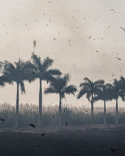 storm