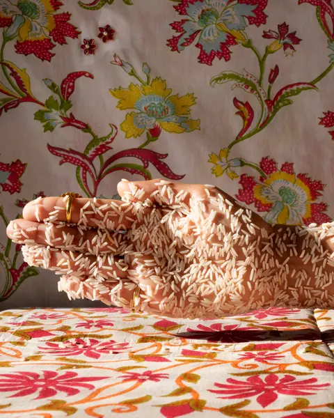 Rice and hand