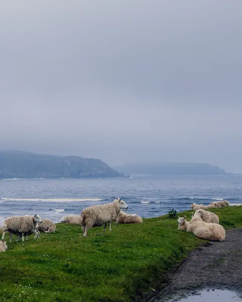 Calvin Courjon en Ecosse avec le D-LUX 8