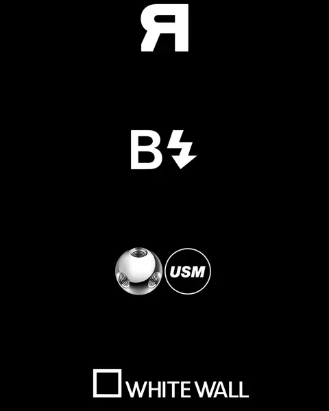 A list of our partners: Rebl, Biel/Bienne festival of photography, USM and Whitewall