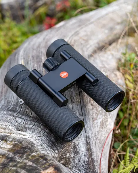 Leica Noctivid Compact showing outdoor on a stone