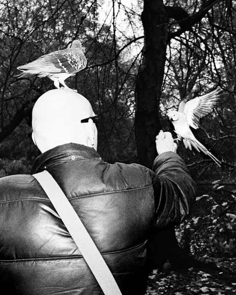 Black and White photo of man feeding birds in a park.