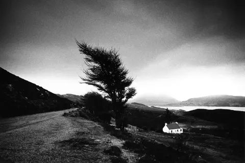 chwarzweißes analoges Landschaftsbild mit einem vom Wind gebogenen Baum auf einem Hügel unter offenem Himmel.