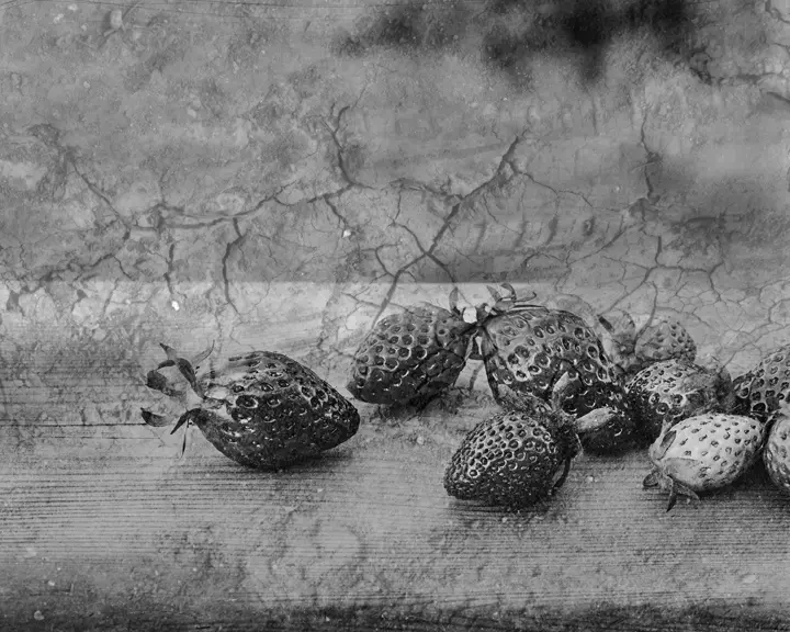 Nature morte de fraises en noir et blanc 