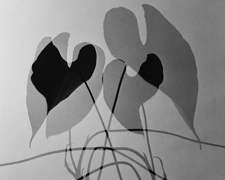 German Lorca, Leica Gallery Frankfurt