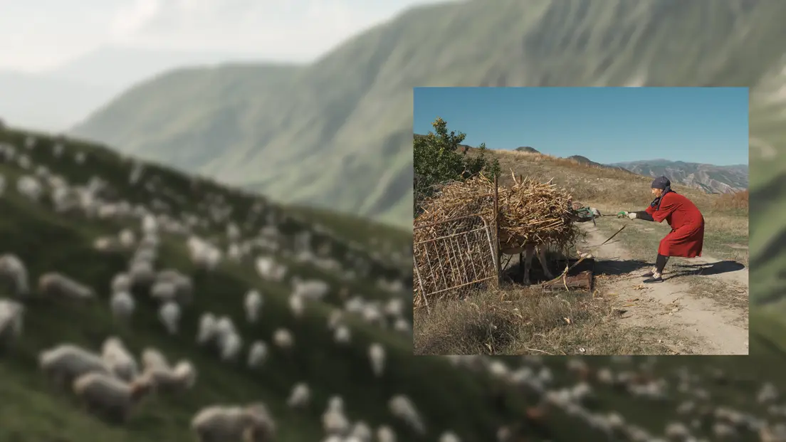 Woman working with a cart of harvested crops in a mountainous rural landscape.