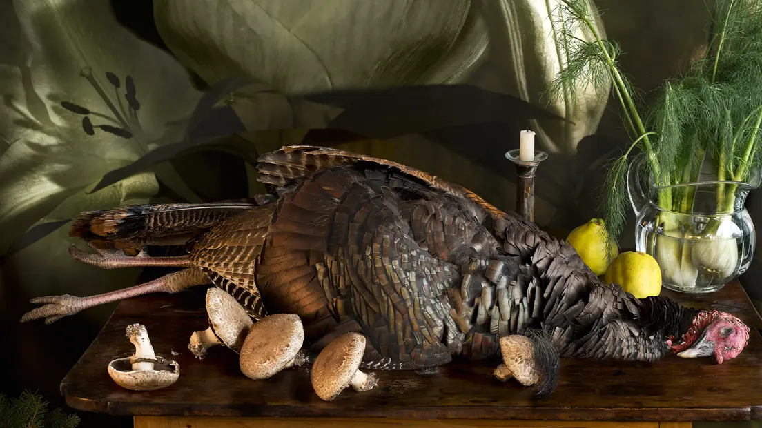 Still life with a wild turkey, mushrooms, quinces, fennel and a candle on a wooden table, set against a dramatic backdrop of oversized white lilies.