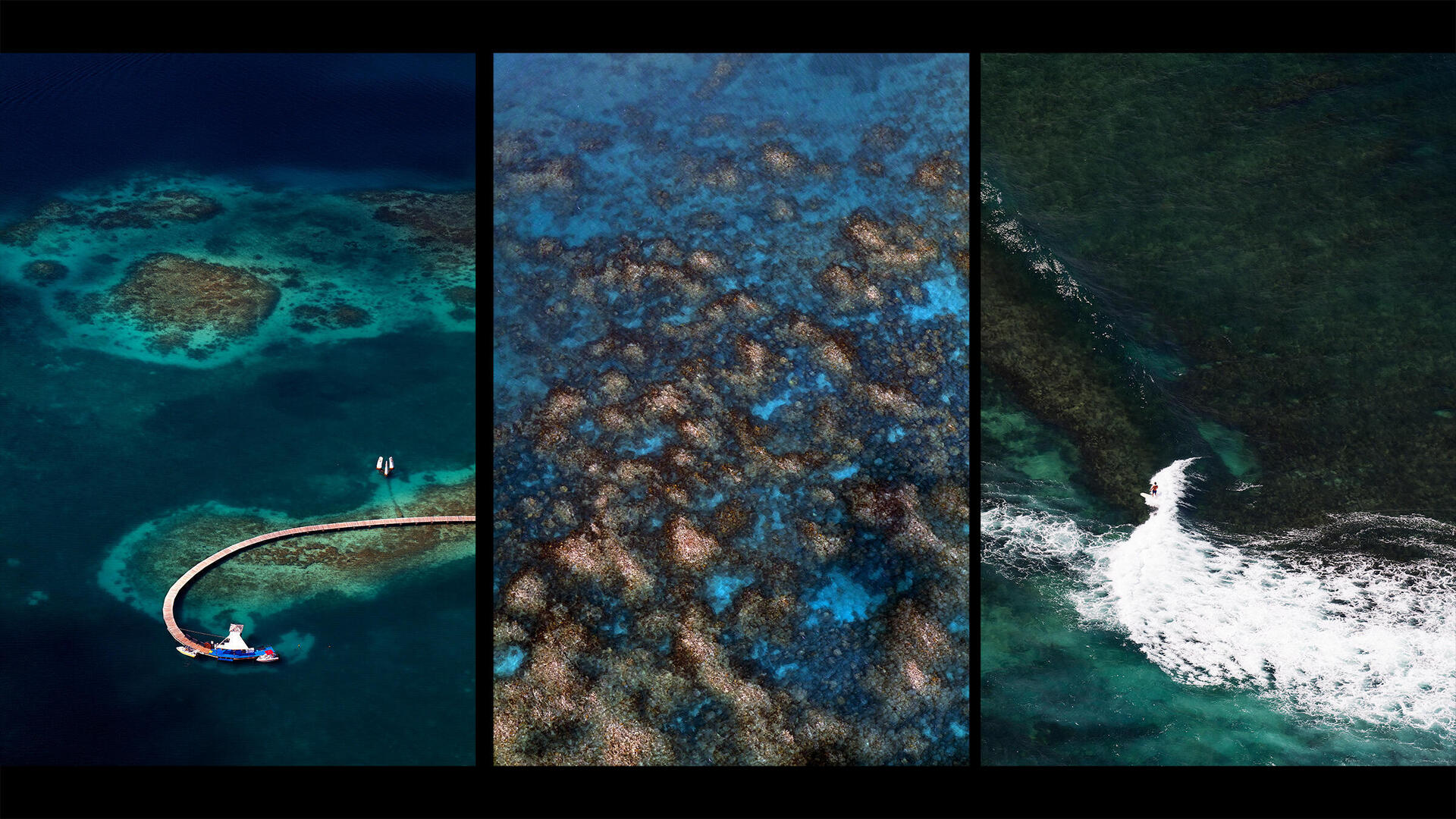 2-T.-Clarke-Coral-reefs-2400x1350_teaser-2400x1350.jpg