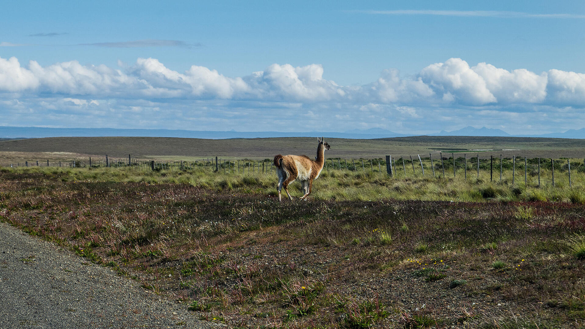 2_Driving_Jungho-Jung_Patagonia_2400x1350_reference.jpg