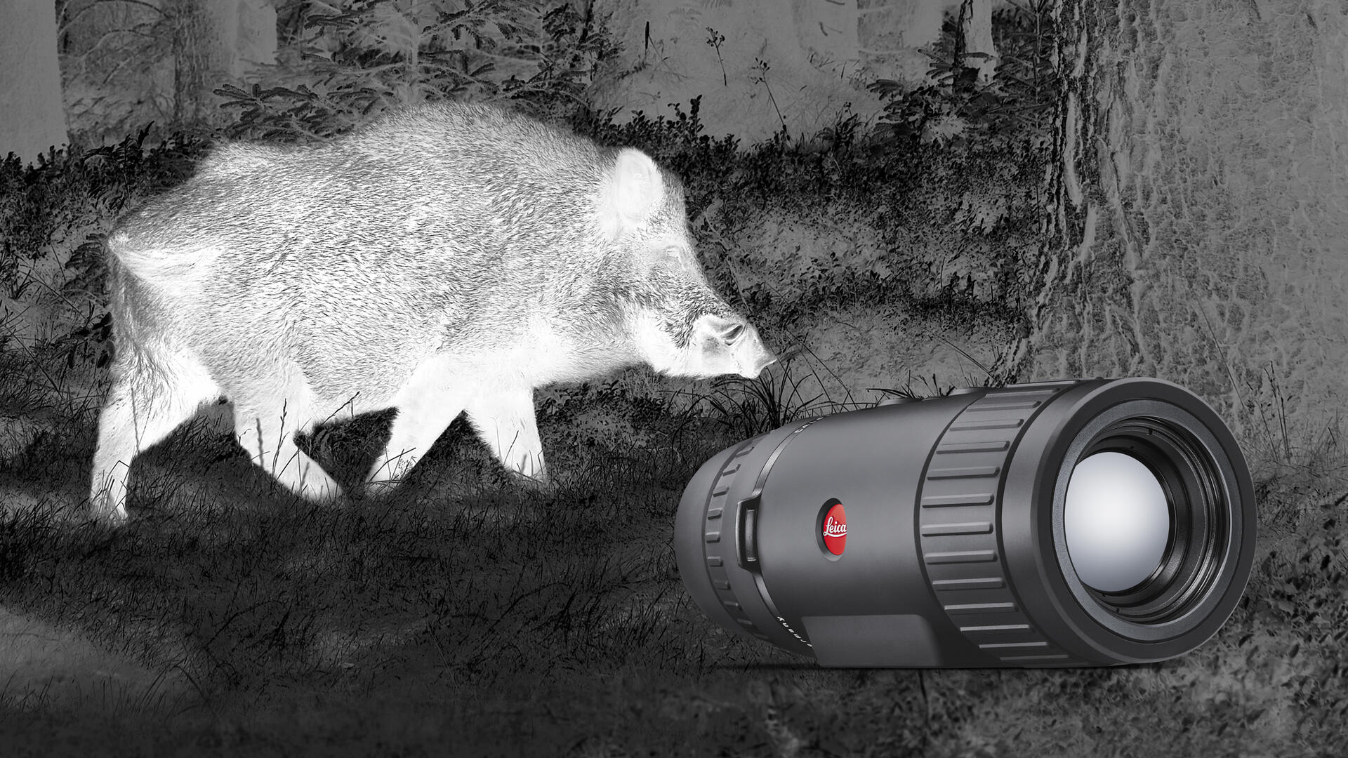 Leica Calonox Overview_Hero