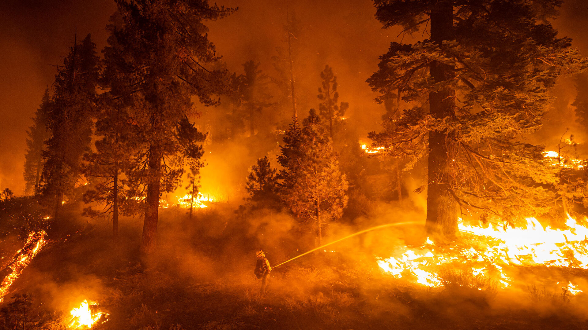 witness_story_lynsey-addario_hero_3840x1780.jpg