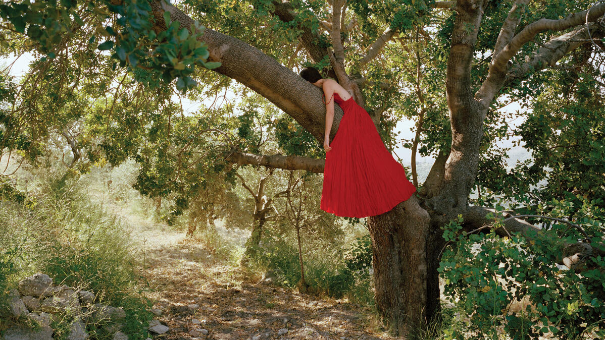 Rania Matar image
