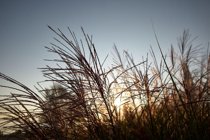 概要 (Elmarit-TL 18 F/2.8 ASPH.) | Leica Camera JP