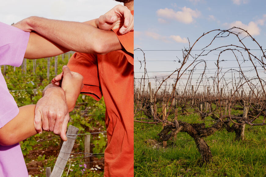 diptych of photographs of intertwined arms and vines