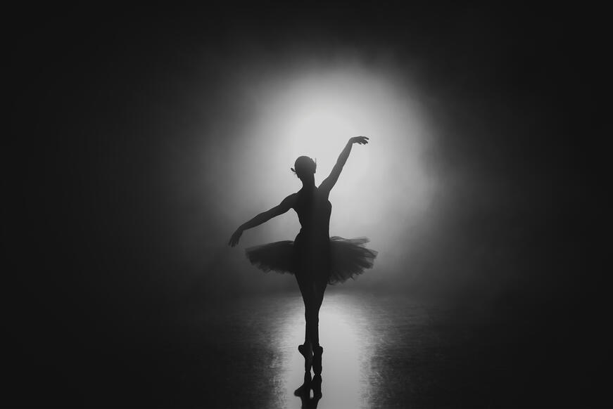 Ballerina in the Theater