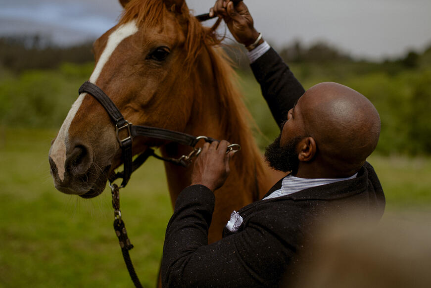 Man puts harness on horse