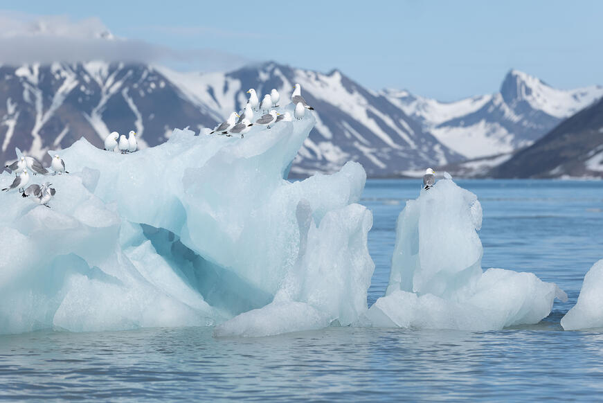 Icebergs with mountains in the background