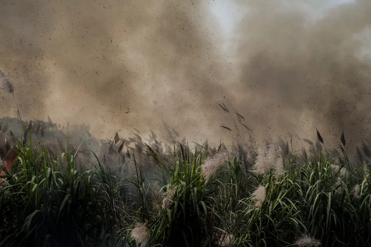 storm in a field