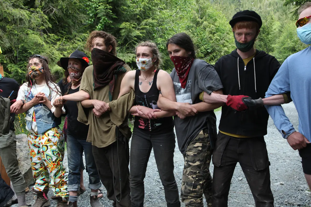 Fairy Creek protests where activists came together to protect the old growth forests of Vancouver Island