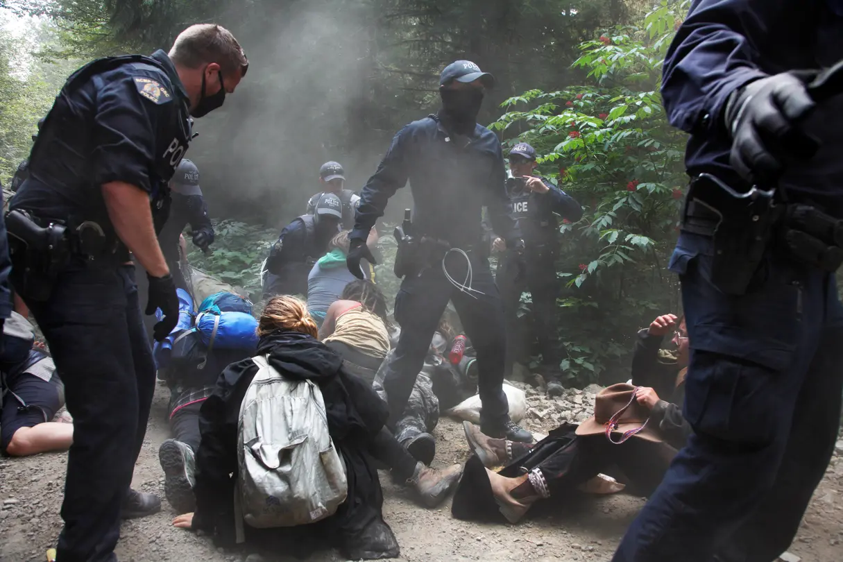 Fairy Creek protests where activists came together to protect the old growth forests of Vancouver Island