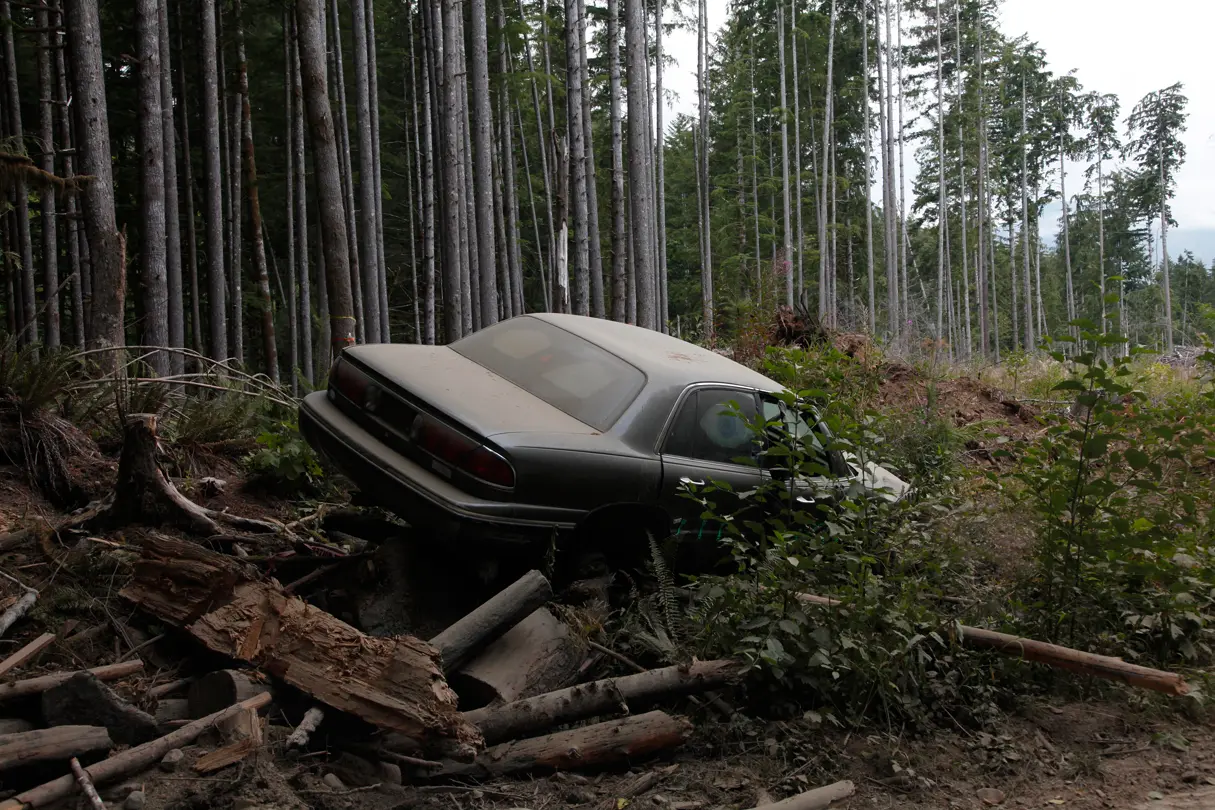 Old car parked in the forest on a pile of old branches and logs