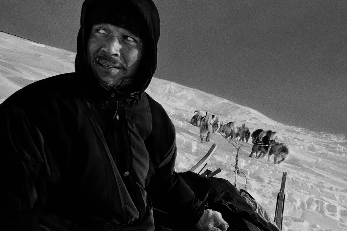 Man with huskies in a snowy landscape