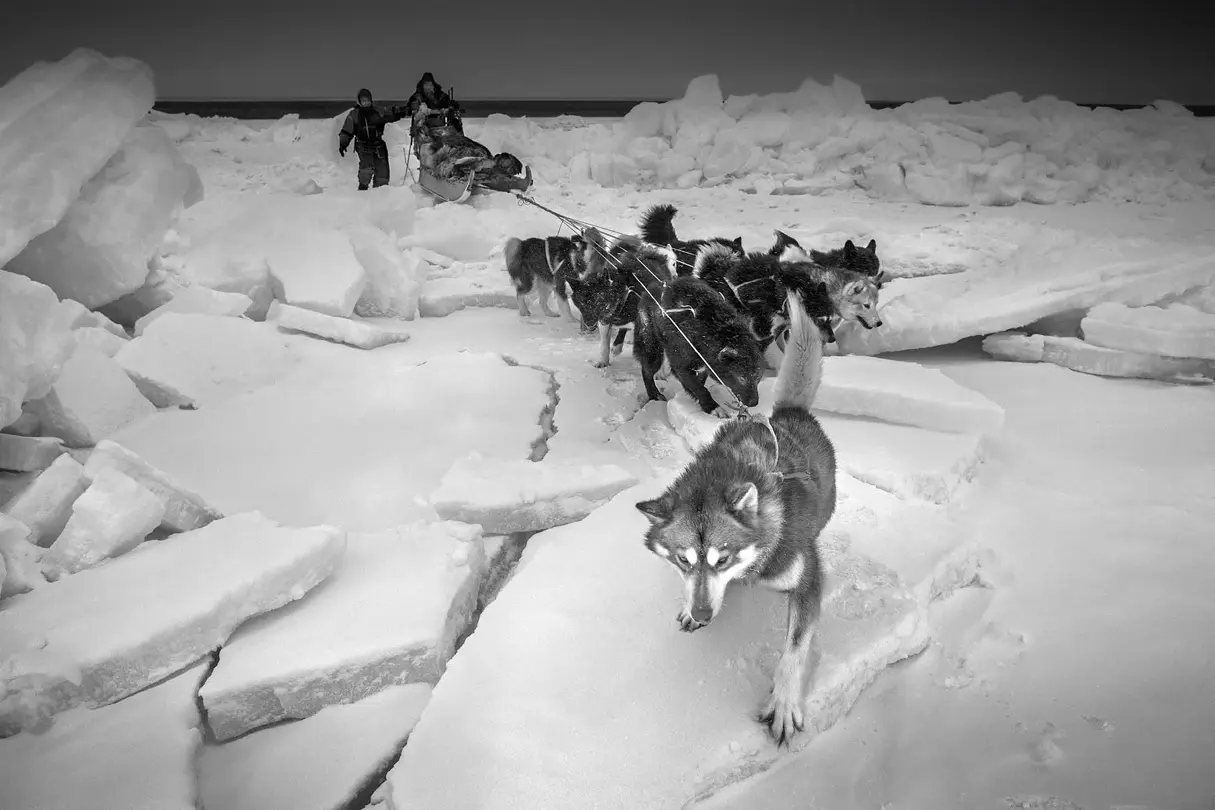 Huskies with sledges in a snowy landscape