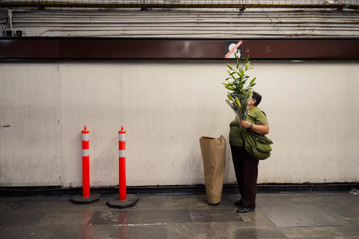 Colour photo of woman holding a plant