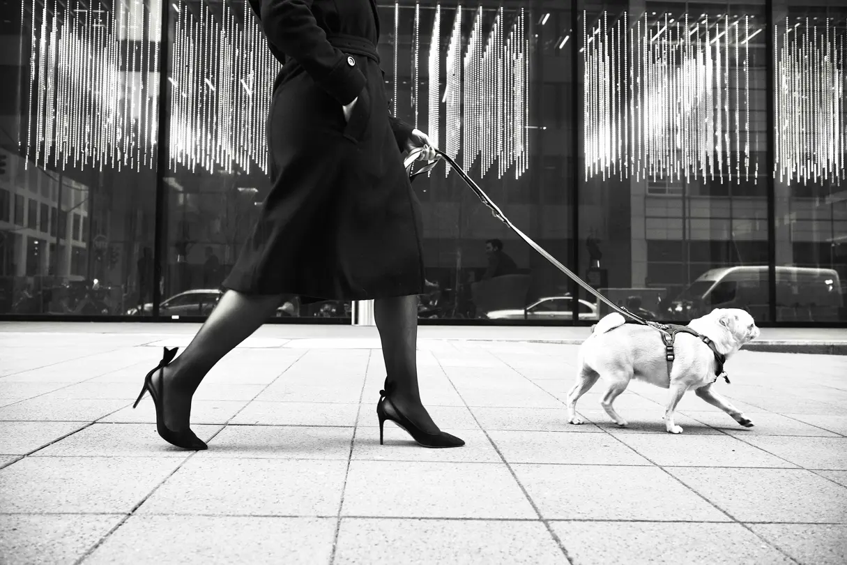 Black and white picture woman dressed in black walks with small white dog