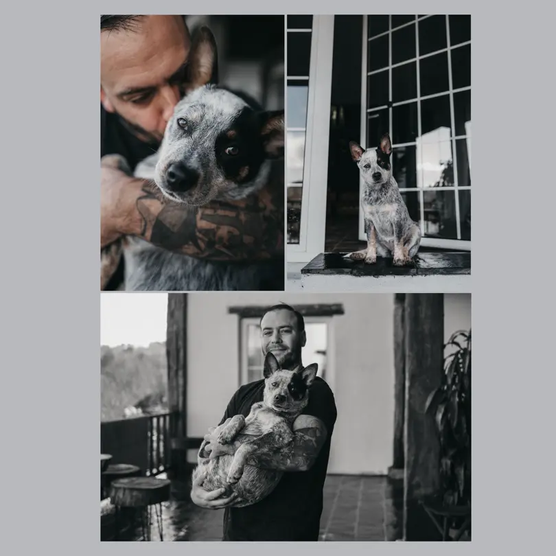 three pictures with a man and a dog