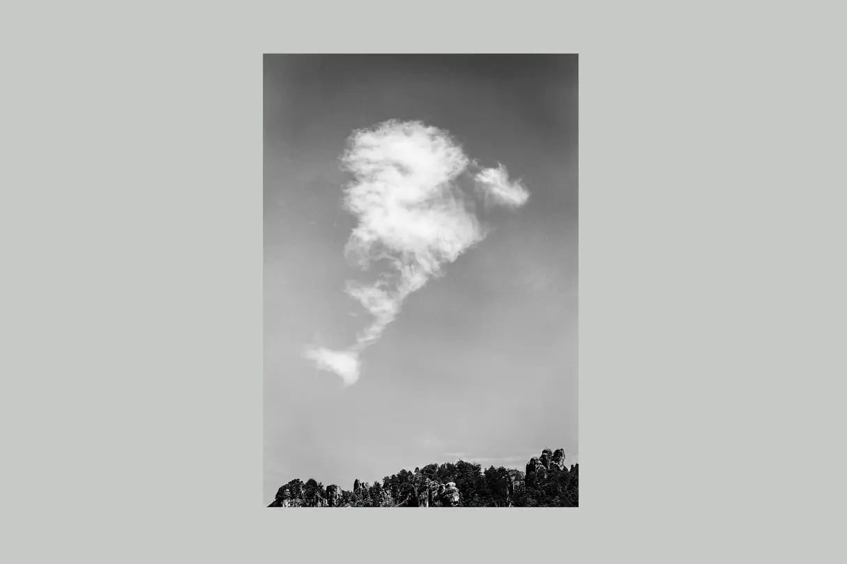 A cloud in the form of a whale in the sky.