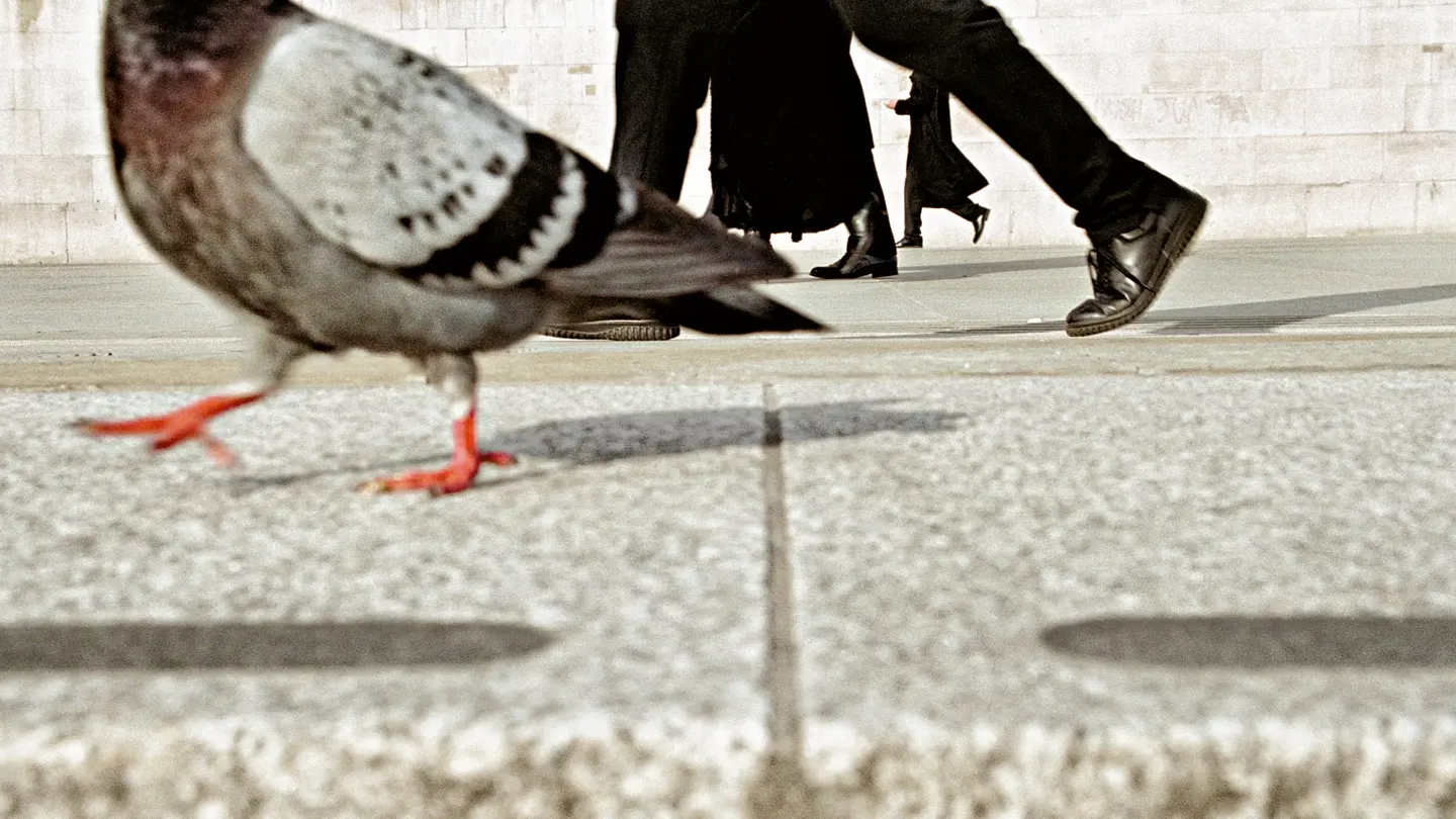 Workshop „London Street Photography“ - Matt Stuart, Leica Akademie UK