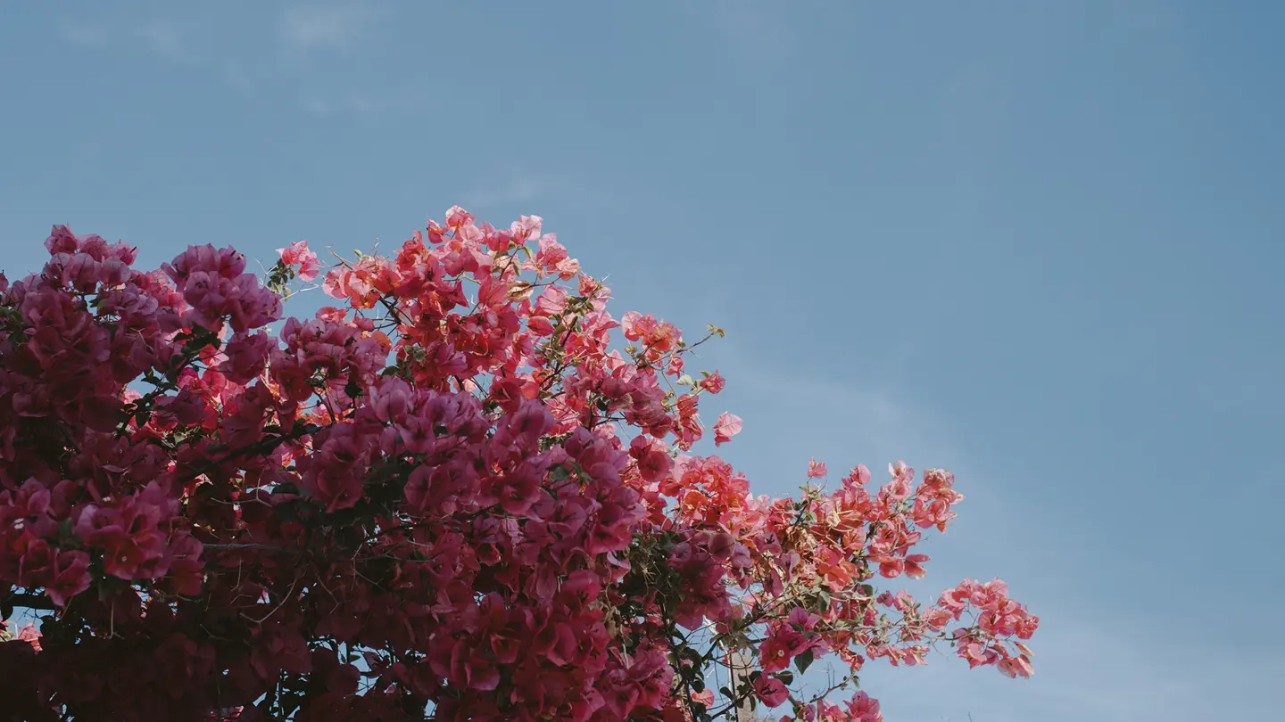 Amelia Le Brun with the M11-D