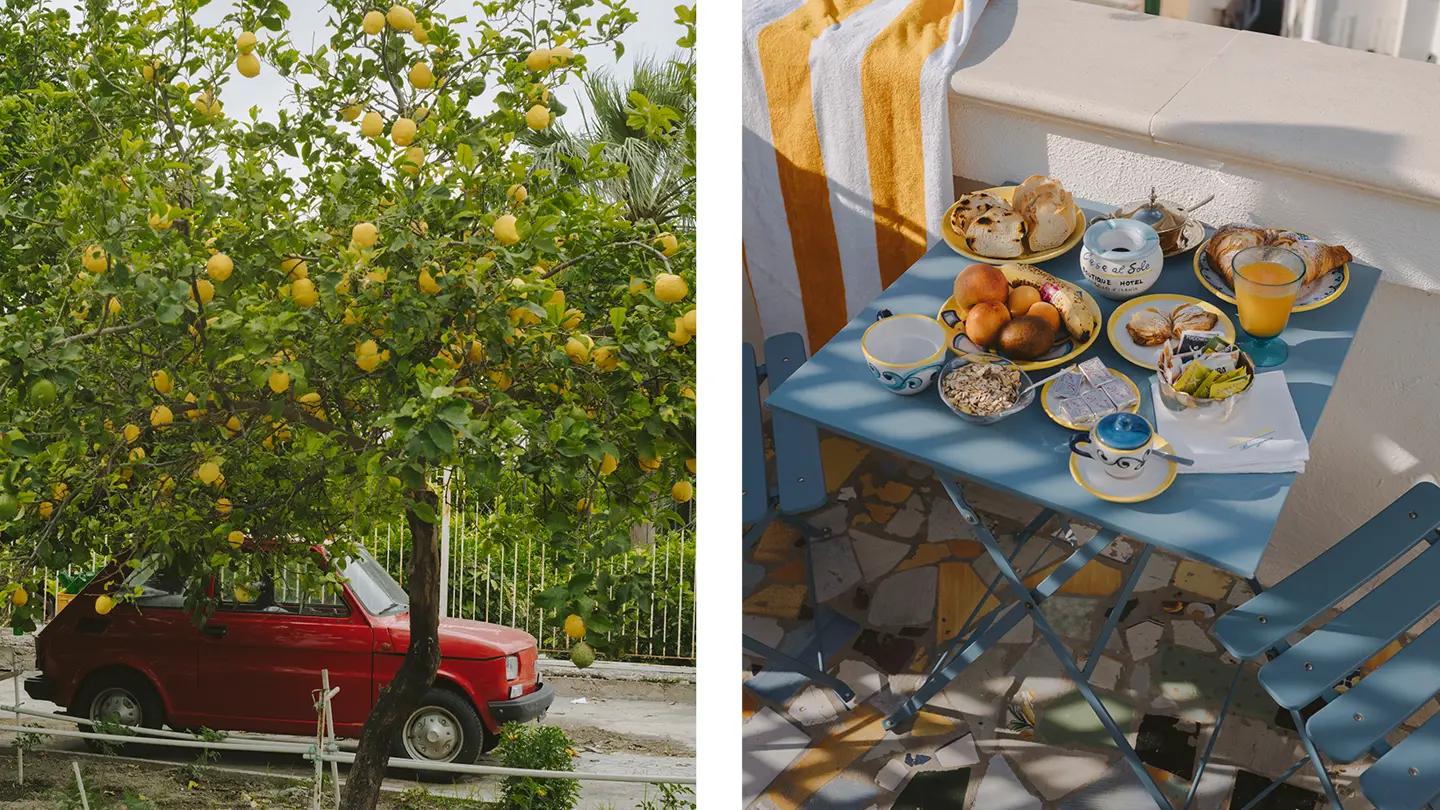 Amelia Le Brun with the M11-D