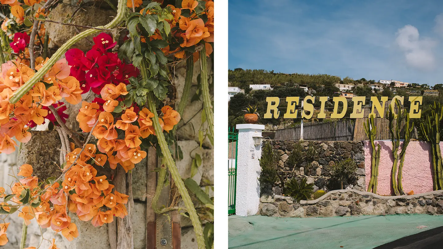 Amelia Le Brun with the M11-D