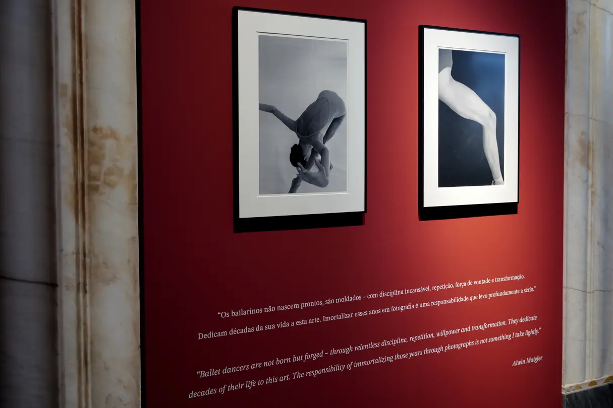 Exhibition of Alwin Maigler